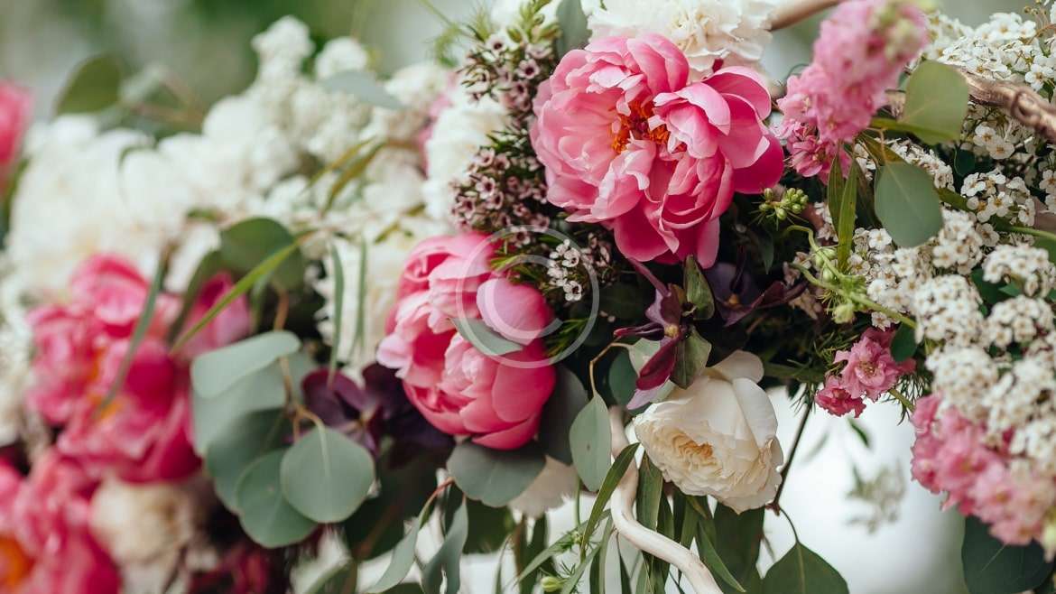 Ścianki dekoracyjne i kwiaty